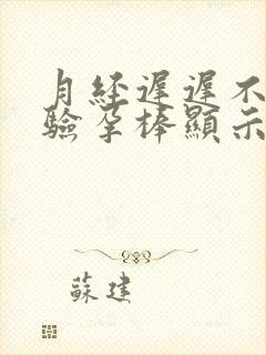 月经迟迟不来,验孕棒显示没有怀孕