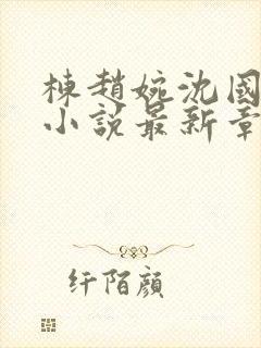 栋赵婉沈国李铭小说最新章节