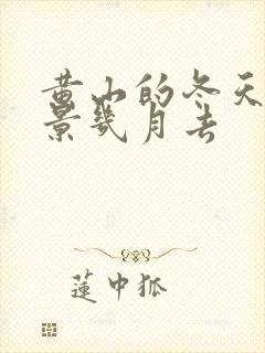 黄山的冬天看雪景几月去