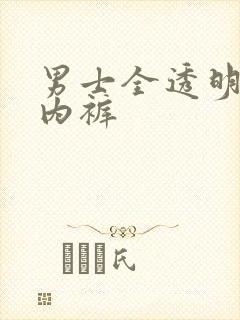 男士全透明网纱内裤