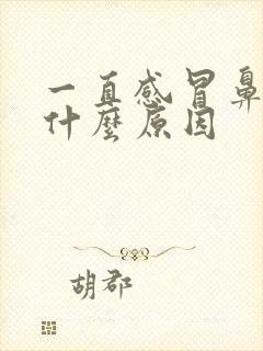 一直感冒鼻塞是什么原因