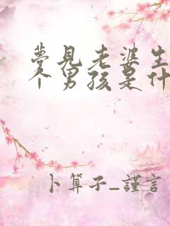 梦见老婆生了一个男孩是什么征兆