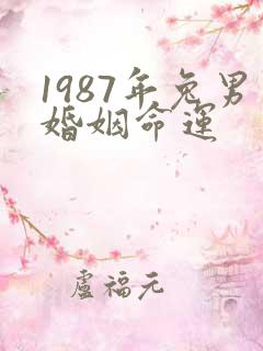 1987年兔男婚姻命运