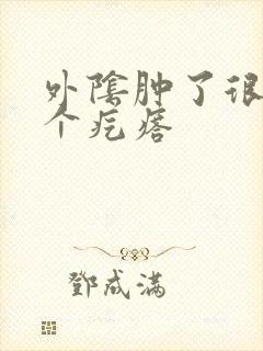 外阴肿了很大一个疙瘩