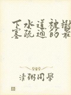 下水道被树根堵塞疏通的最好办法