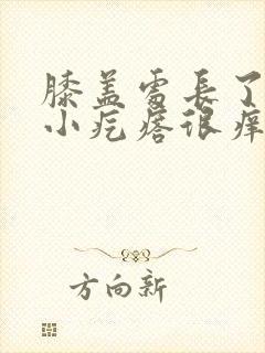 膝盖处长了很多小疙瘩很痒怎么回事