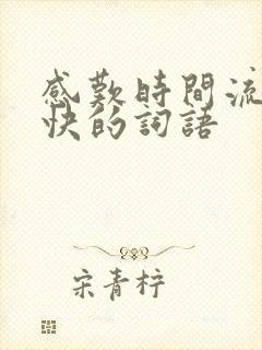 感叹时间流逝的快的词语