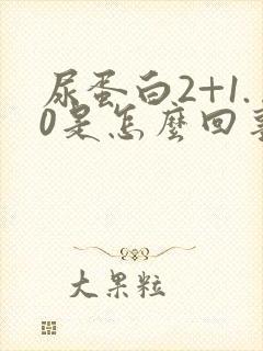 尿蛋白2+1.0是怎么回事