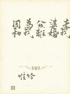 因为公婆老公要和我离婚我该怎么办