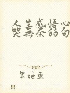 人生感悟心酸想哭无奈的句子