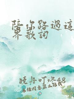 陪你路过这个世界歌词