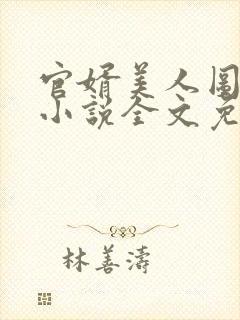 官婿美人图安江小说全文免费阅读