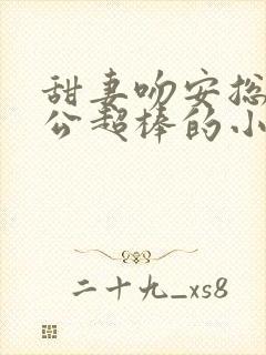 甜妻吻安总裁老公超棒的小说