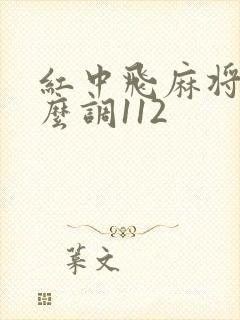 红中飞麻将机怎么调112