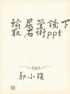 输尿管镜下碎石取石术ppt