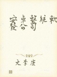 安卓系统软件开发公司