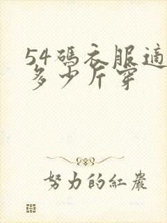 54码衣服适合多少斤穿