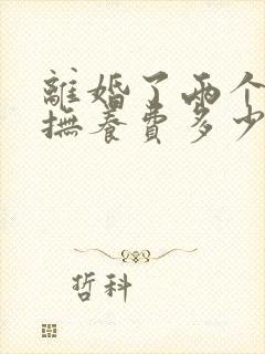 离婚了两个孩子抚养费多少钱一个月