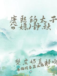 康熙的太子妃(公媳)静秋