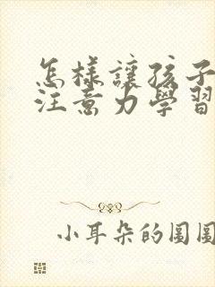 怎样让孩子集中注意力学习