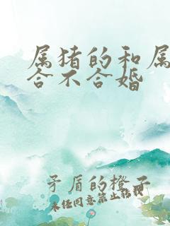 属猪的和属蛇的合不合婚