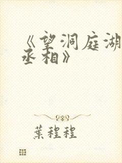 《望洞庭湖赠张丞相》