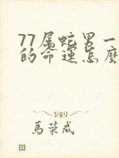 77属蛇男一生的命运怎么样