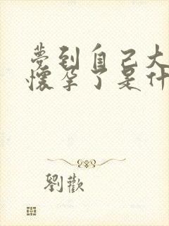 梦到自己大肚子怀孕了是什么预兆