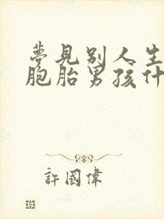 梦见别人生了双胞胎男孩什么意思