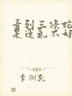 看到三条蛇是不是运气不好