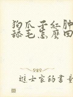 狗爪子红肿,老舔毛怎么回事