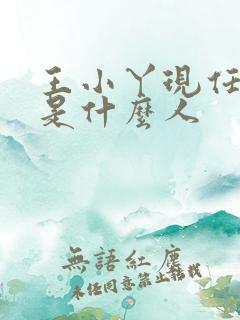 王小丫现任丈夫是什么人