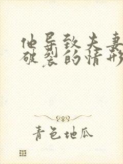 他导致夫妻感情破裂的情形