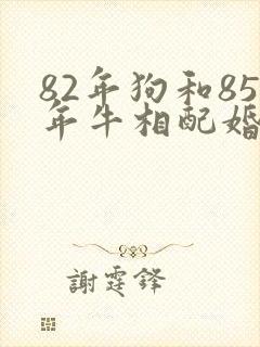 82年狗和85年牛相配婚姻如何
