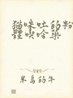 猫咪吐的粉色液体吃啥药