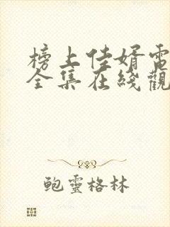 榜上佳婿电视剧全集在线观看免费播放