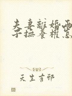 夫妻离婚两个孩子抚养权怎么判