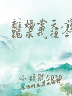 离婚当天,前夫跪求我复合短剧