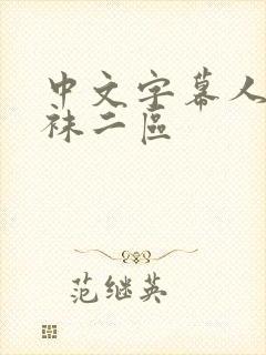 中文字幕人妻丝袜二区