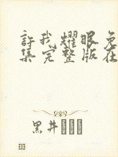 许我耀眼免费全集完整版在线观看