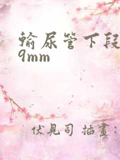 输尿管下段结石9mm