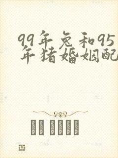 99年兔和95年猪婚姻配吗