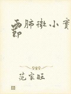 两肺微小实性结节