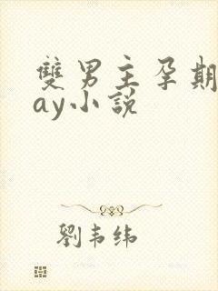 双男主孕期play小说