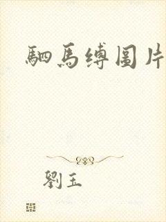 驷马缚图片