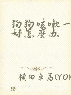 狗狗咳嗽一直不好怎么办