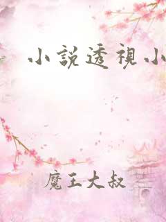 小说透视小邪医