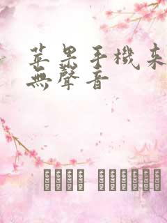 苹果手机来电话无声音