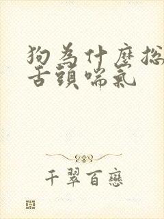 狗为什么总伸着舌头喘气