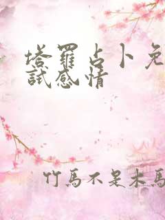 塔罗占卜免费测试感情